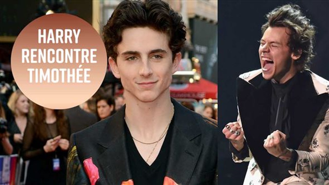 Harry Styles s'entretient avec Timothee Chalamet