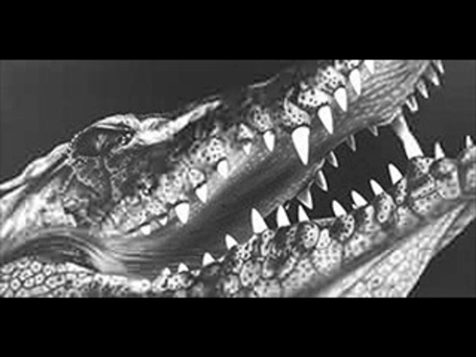 Hot funk