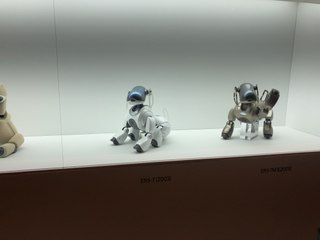 SONY AIBO FROM JAPAN