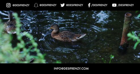 Sajna Ve Sajna (feat. Gurdas Maan)  -  DJ FRENZY  -  Latest Punjabi Songs 2018