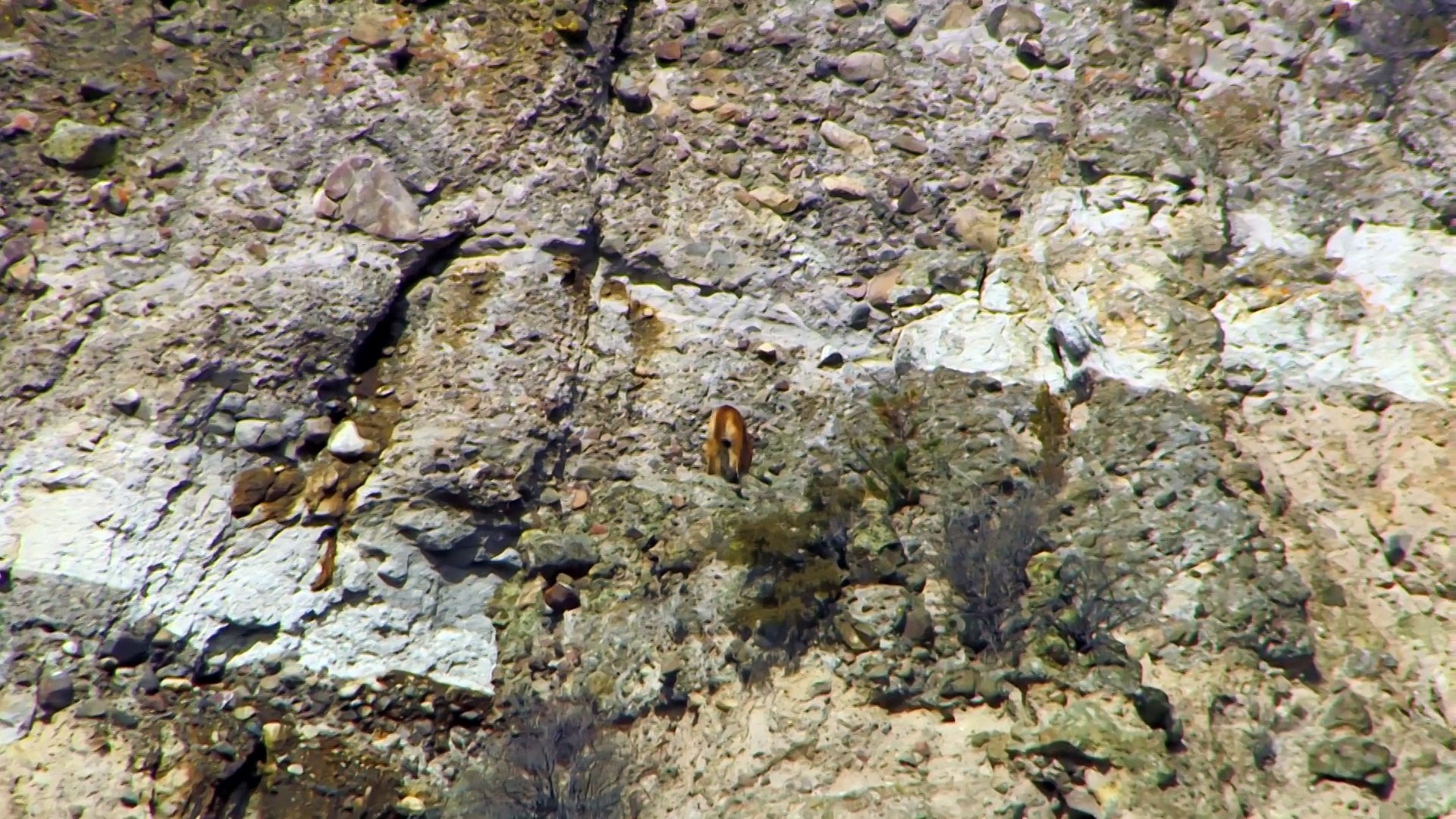 BBC Mountain Life at the Extreme 1 of 3 Rockies       part 2/2
