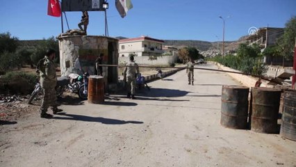 Afrin'de Zeytin Hasadı Başladı