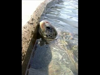 Grand Cayman Islands Vacation in the Winter?