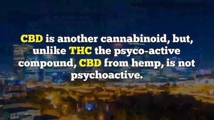 High Quality Cbd Oil Prices For Diabetes