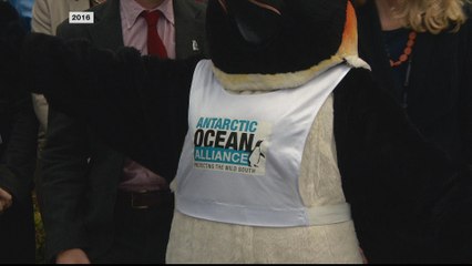 Weddell Sea: China, Russia block Antarctic ocean sanctuary plan