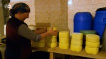 Anadolu köyünde İsviçre peyniri üretimi