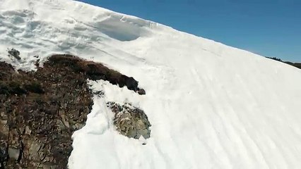 Un ourson veut rejoindre sa maman sur une montagne enneigée