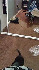 Malcolm sees himself for the first time