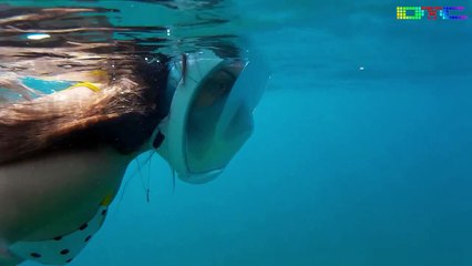 Konyaaltı Sahili Su Altı Görüntüleri