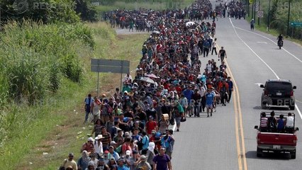 Trump: "Un muro di persone per fermare l'invasione"