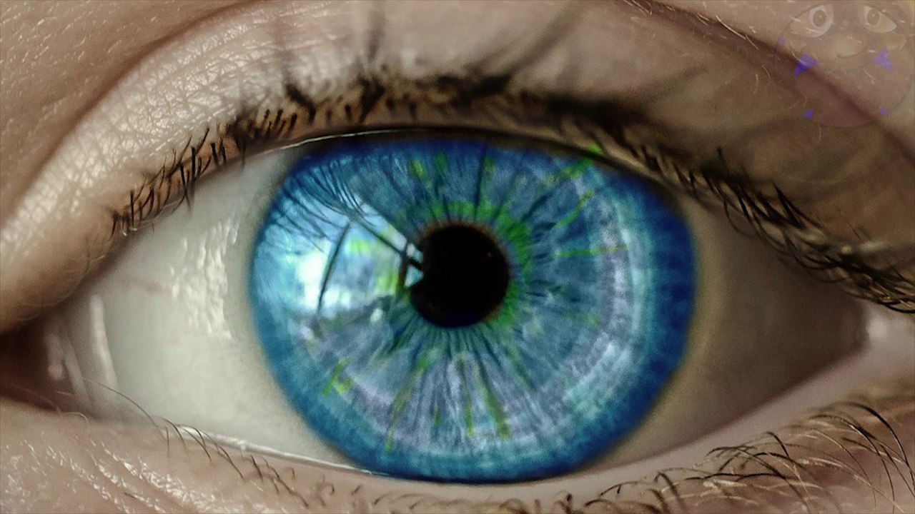 5 risposte curiose a domande intelligenti