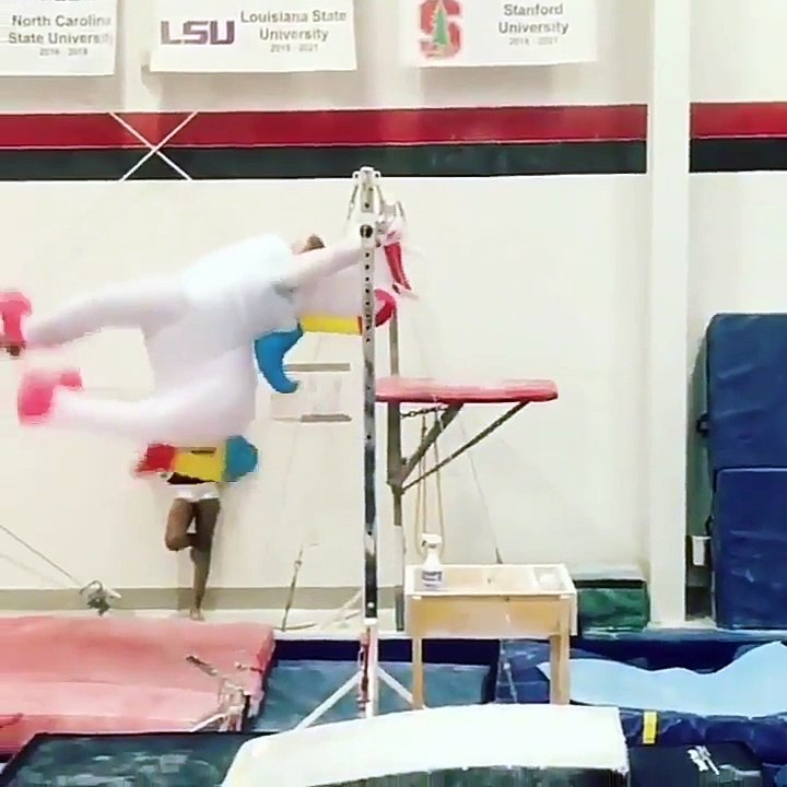 Acrobat Pony
