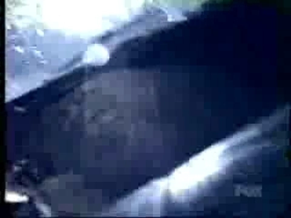 FreakyLinks 2000 - OPENING