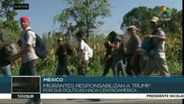 teleSUR noticias. Represión israelí deja 7 palestinos heridos en Gaza