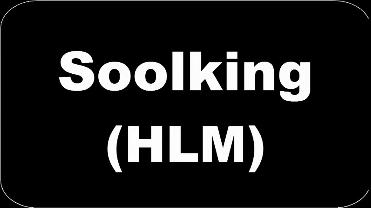 Soolking - HLM (Paroles/Lyrics)