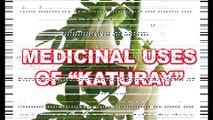 Medicinal Uses Of Katuray