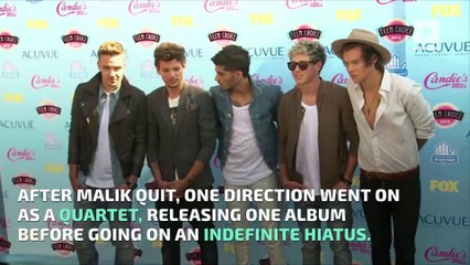 Zayn Malik Says He Didn't Make a Single Friend With One Direction Bandmates