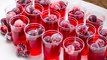 Cranberry Jell-O Shots Will Get You Seriously Sauced This Thanksgiving