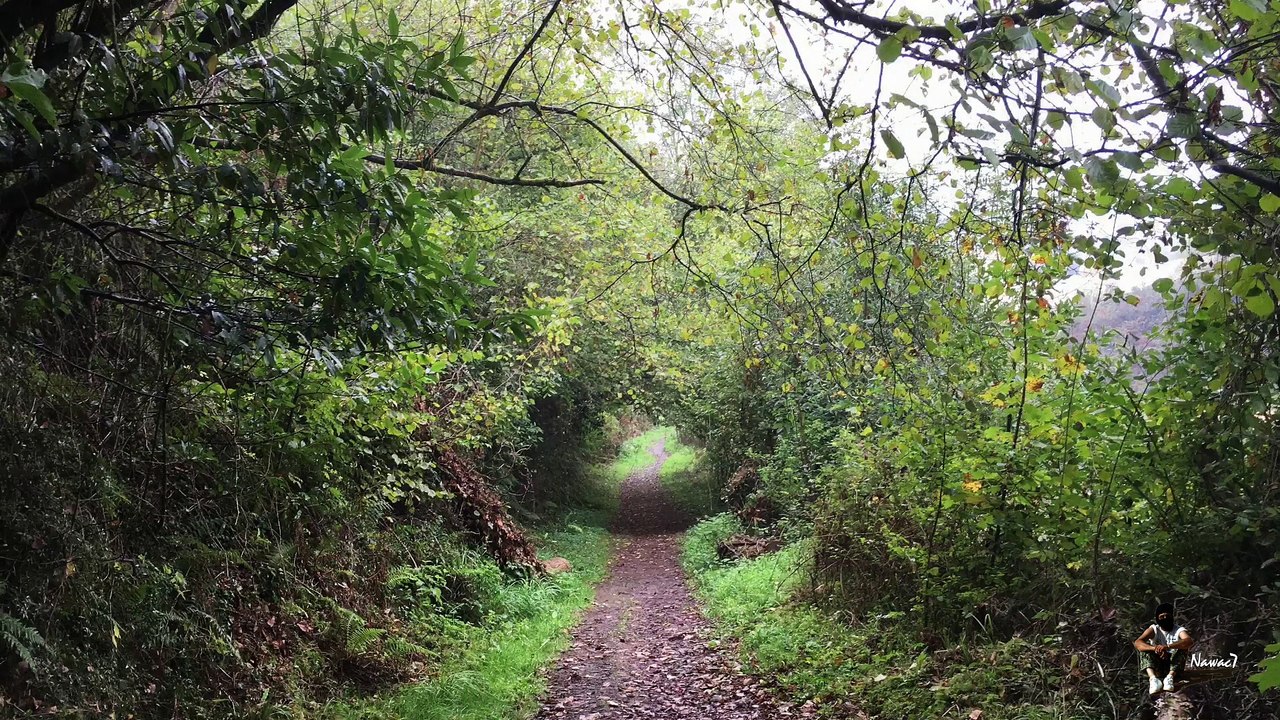 Étape 64 : San Juan De Villapañada – La Espina / Camino Del Norte – Primitivo – Compostelle – 17 octobre 2017.