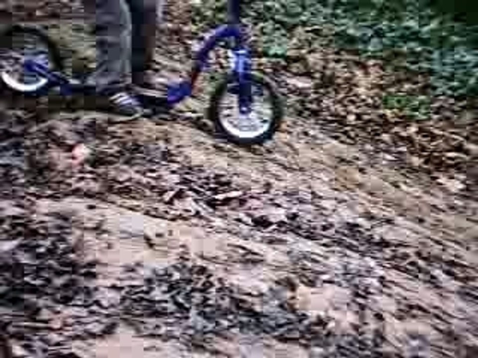 Session vvt biez 27 12 07