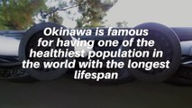 Okinawa Diet The Longevity Secret