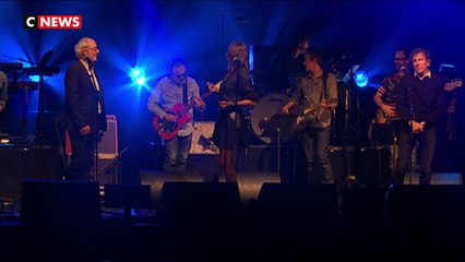 La maladie des coccinelles mise en avant lors d'un concert à Paris