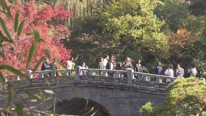 울긋불긋 단풍꽃으로 물든 천년 사찰 / YTN