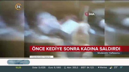 Önce kediye sonra kadına saldırdı