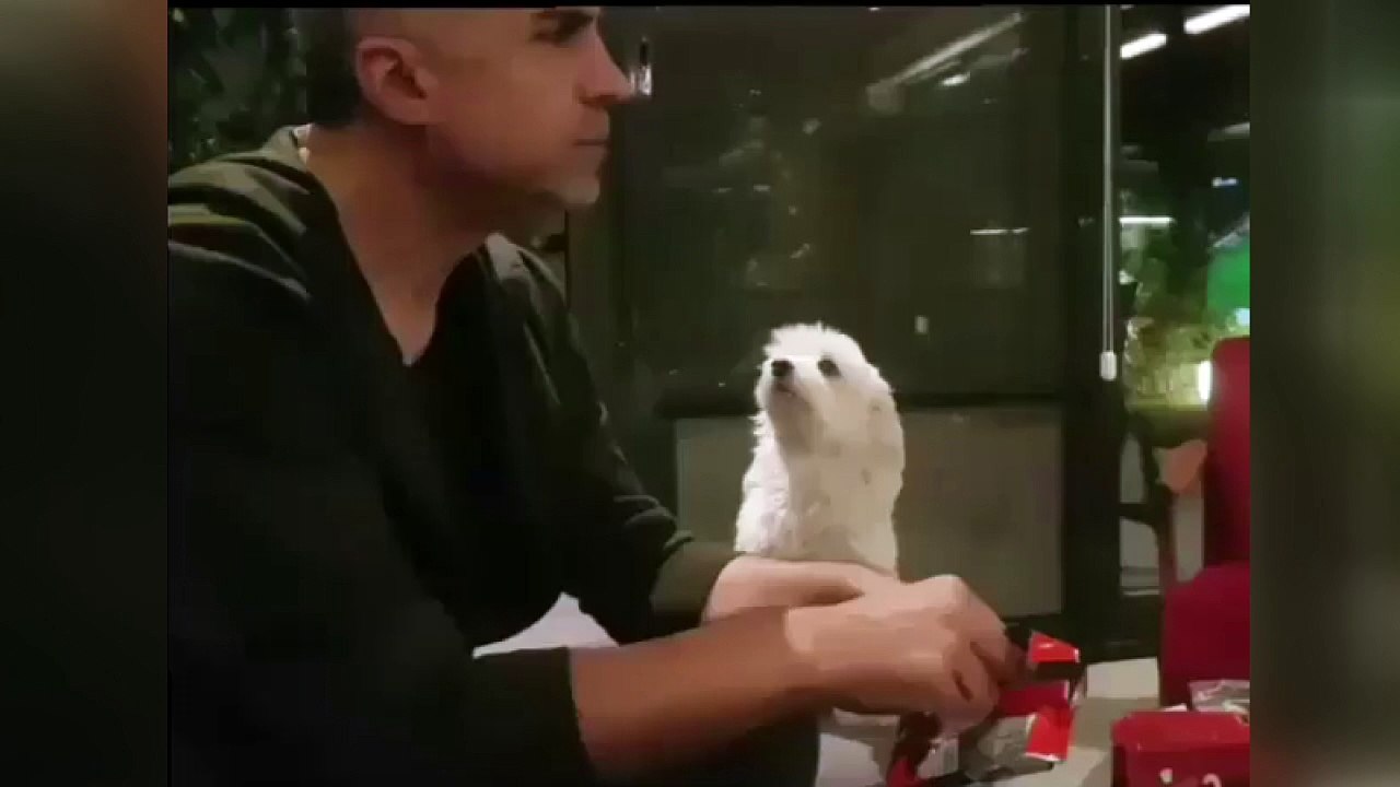 "Maçı bırak, bana bak Özcan!"