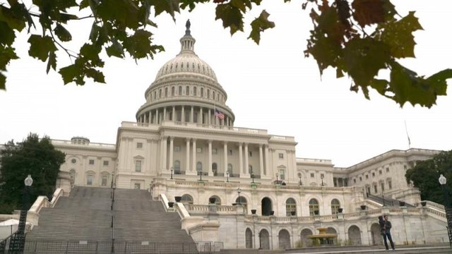 Самые важные выборы