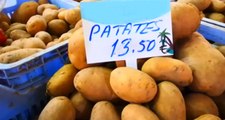 KKTC'de Bir Kilo Patates 14 Liraya Kadar Yükseldi