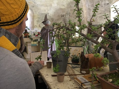 Le cours de botanique