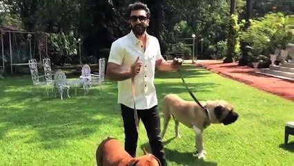 Anushka Sharma Ranbir Kapoor With Dogs Wishing Noise Free Diwali For Pets!