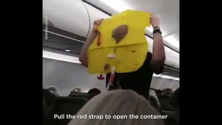 Hilarious Flight Attendant