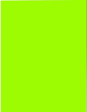 Pest Control Services Ltd