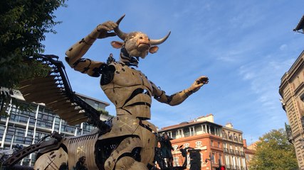 Le Minotaure, place des Carmes