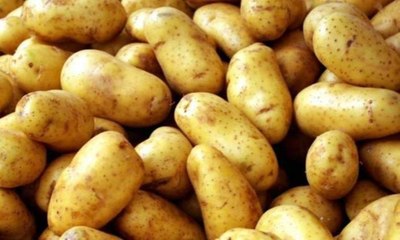 Burada fiyatlar el yakıyor! Patatesin kilosu 25 lira