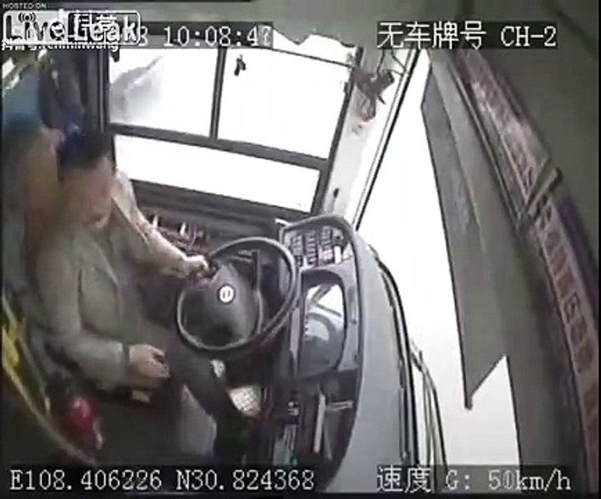 Woman hit the bus driver and killed all people on board