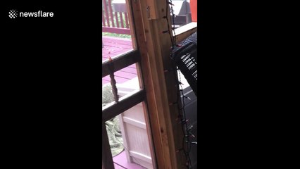 Too cute! Little girl sings sweetly to family dog