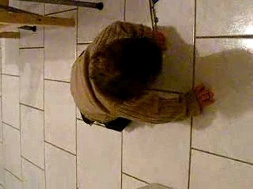 quatre pattes Raphael