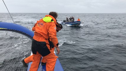 Le saut dans le grand bain des préparateurs