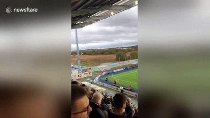 Fan chucked out of Falkirk stadium climbs tree to watch game