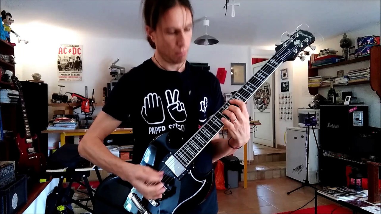 Toxycity Aurel's Guitar