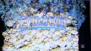 The Bellas, Trish Stratus and more walk the red carpet for WWE Evolutiion