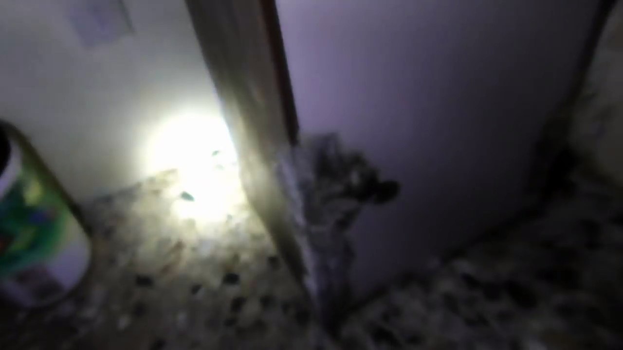 Matteo Montesi si è smerdato una mano