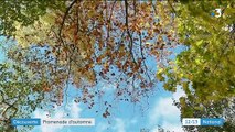 Hautes-Alpes  : promenade d'automne en attendant la neige