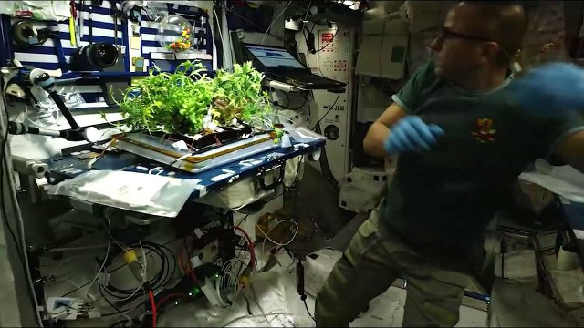 Canadian Space Technology Helps Fight Breast Cancer on Earth - HD