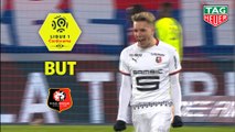 But Adrien HUNOU (60ème) / SM Caen - Stade Rennais FC - (1-2) - (SMC-SRFC) / 2018-19