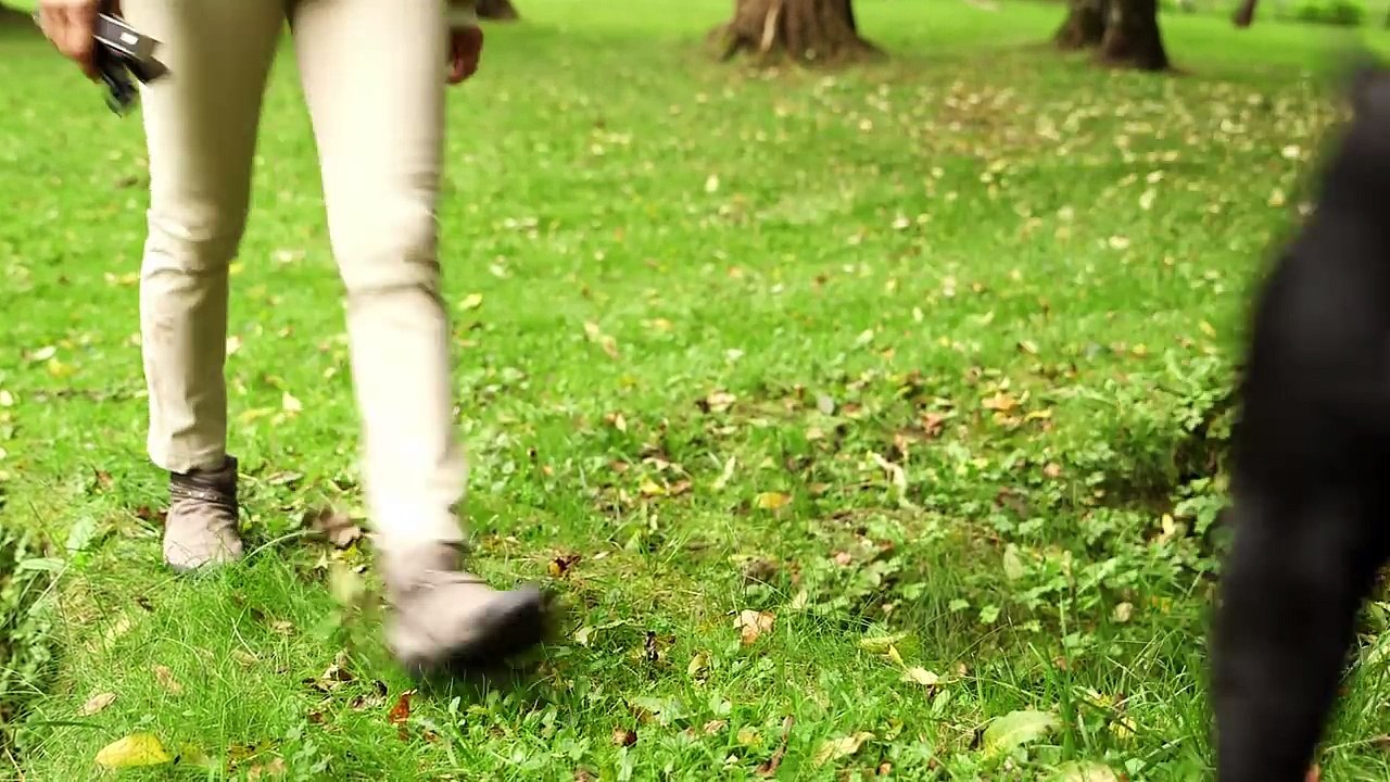 Pour la Toussaint, "30 millions d'amis" crée un espace en ligne pour rendre hommage aux animaux de compagnie disparus