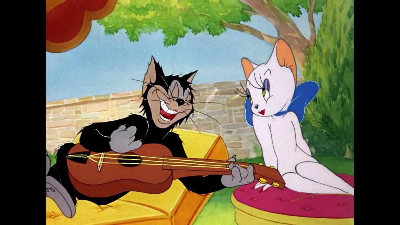 Tom & Jerry Tom vs Butch! Classic Cartoon Compilation